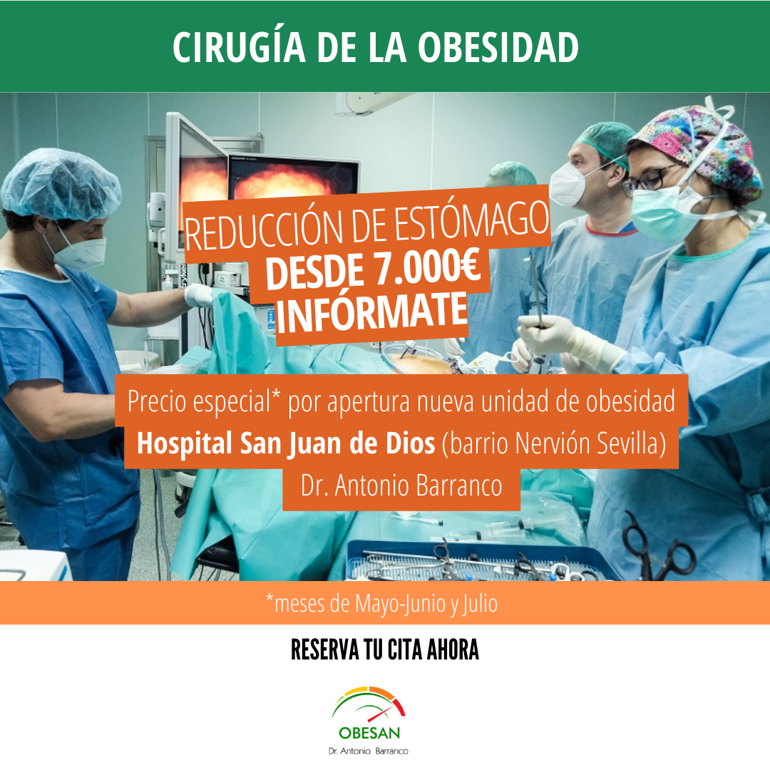 Precio Reducción de estómago en Sevilla desde 7.000€ Precio Reducción de estómago en Sevilla desde 7.000€
