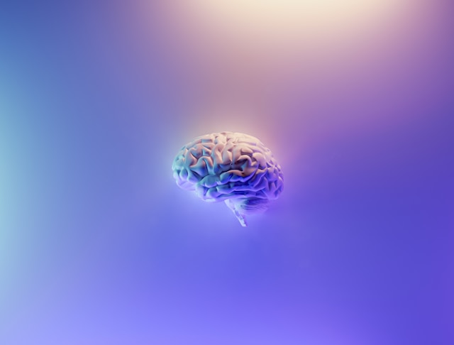 Lee más sobre el artículo El cerebro, la clave para controlar el peso: un estudio abre nuevas vías en el tratamiento de la obesidad